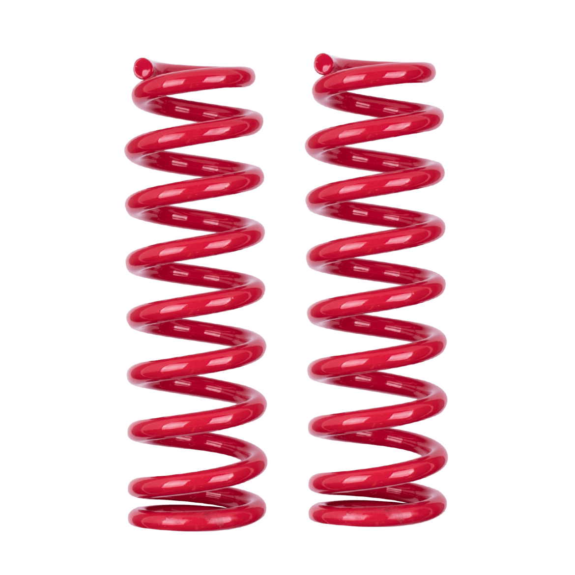 Rear Raised Rancho Springs Wilkinson Suspension