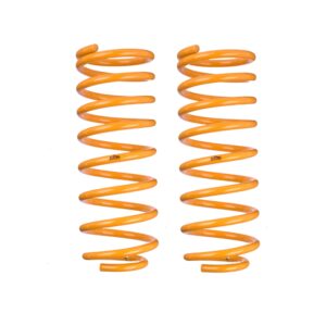 Front Raised King Springs - RAM TRX
